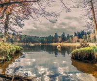 你认为的好奇心强的表现是什么? 举个例子？