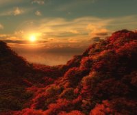 一个人最好的状态：永远保持对世界的好奇心