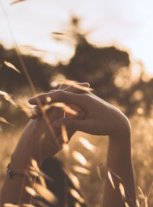 房子和我们的生活