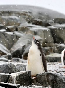 这个人有好奇心