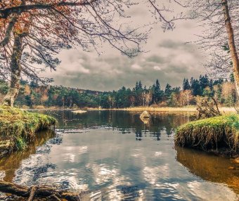 你认为的好奇心强的表现是什么? 举个例子？