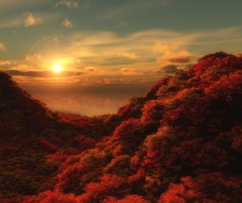 一个人最好的状态：永远保持对世界的好奇心