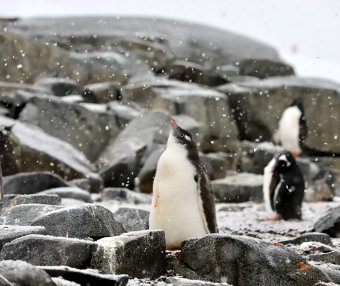 这个社会要对年轻人更友好一些