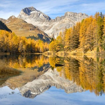 支付宝自动化账单权限开通