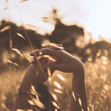 支付宝自动化账单权限开通