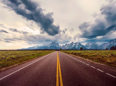 抖音直播网页自动点赞