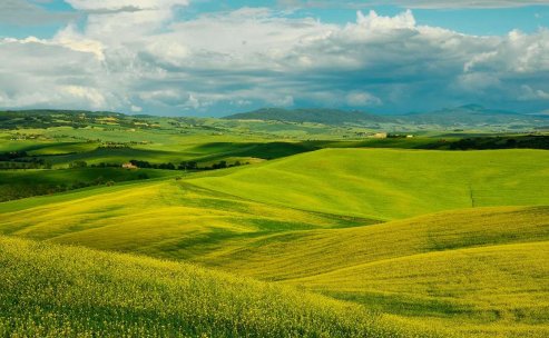 哇塞，你也这么美丽~