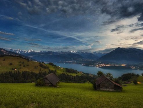 性取向心理学文章