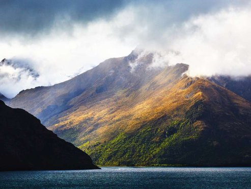 性冷淡心理学文章