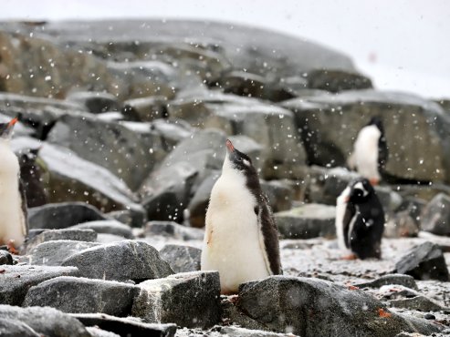 第一次心理学文章