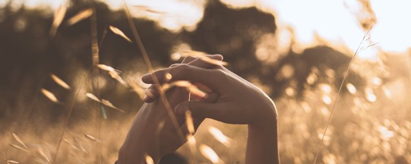 房子和我们的生活