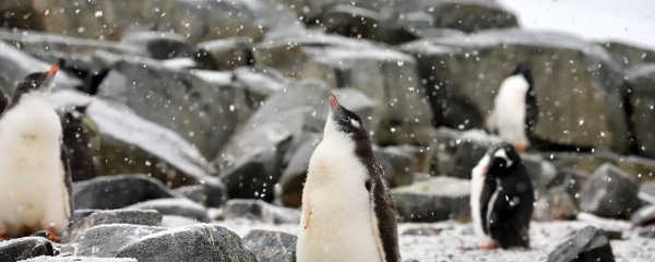 这个人有好奇心