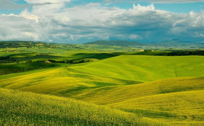 每天一个小故事：生活中的点滴温暖与智慧