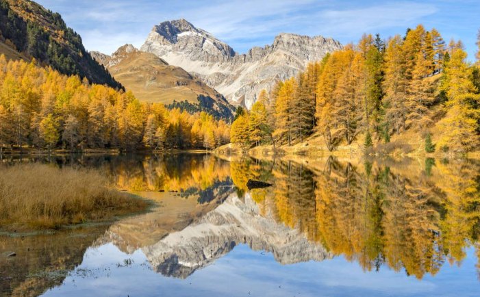 品味生活点滴，汲取心灵鸡汤的力量
