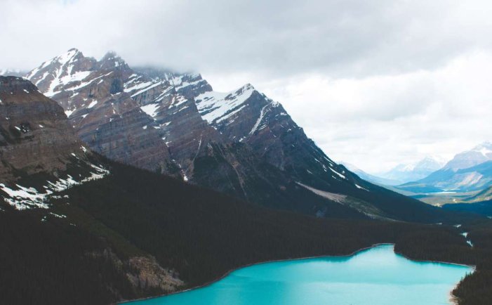 性冷淡心理学文章