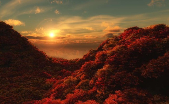 每天一个小故事：在平凡中发现非凡