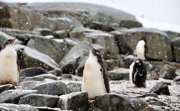 性幻想心理学文章