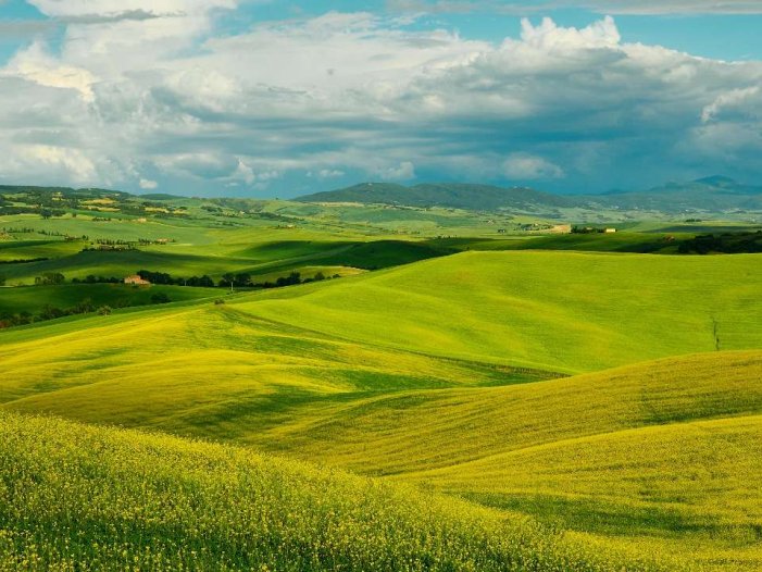 每天一个小故事：生活中的点滴温暖与智慧